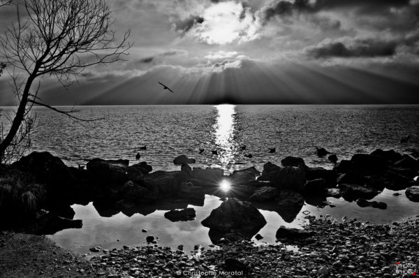Lac Léman. Suisse