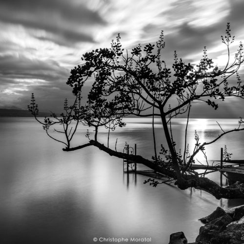 Lac Léman. Suisse