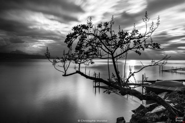 Lac Léman. Suisse
