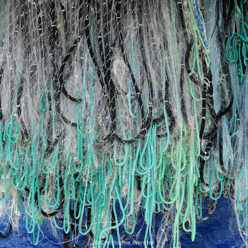 Filets de pêche