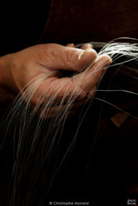La main d'un luthier. Lausanne. Suisse