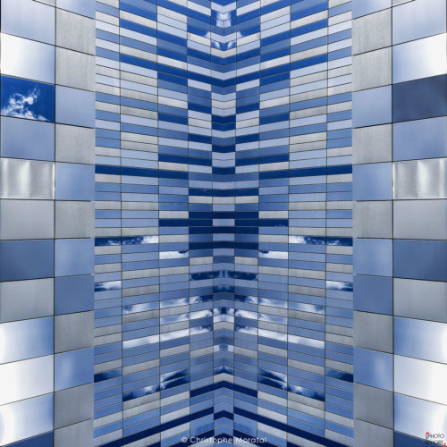 Domino